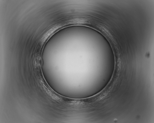 X0000116161081200912141215
