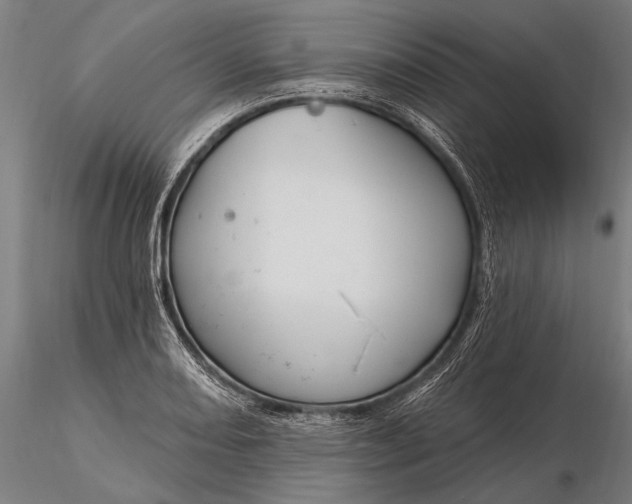 X0000116161082200912141215