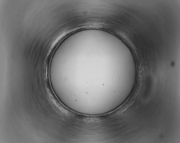 X0000116161083200912141215