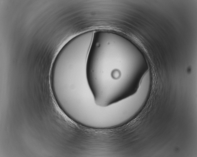 X0000116161084200912141215