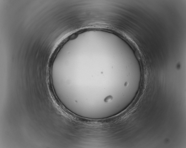 X0000116161085200912141215