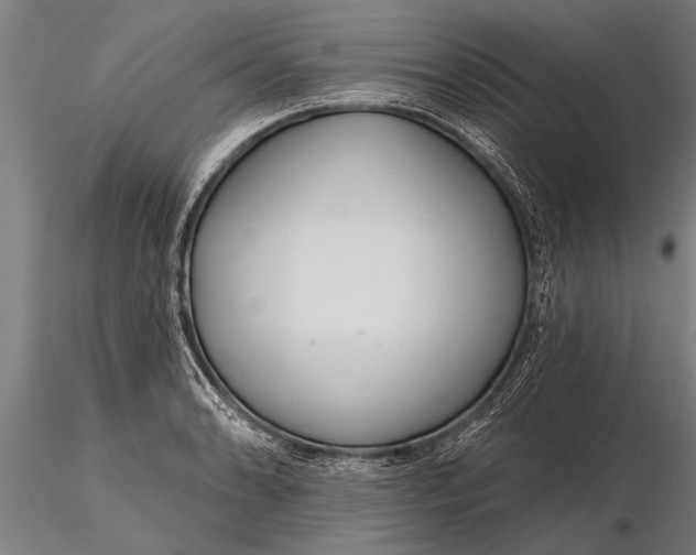 X0000116161086200912141215