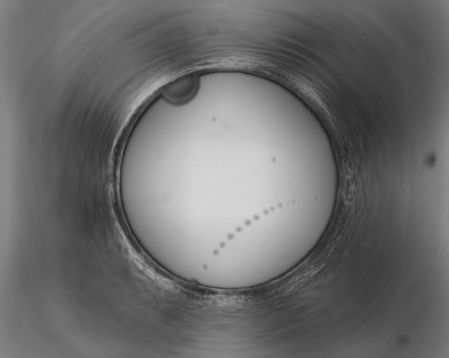 X0000116161087200912141215