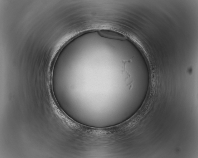 X0000116161088200912141215