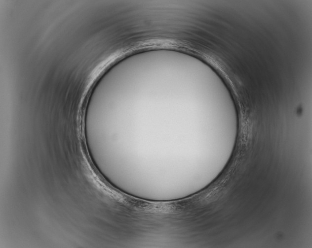 X0000116161090200912141215