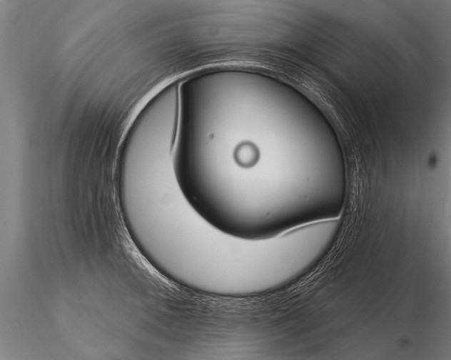 X0000116161092200912141215