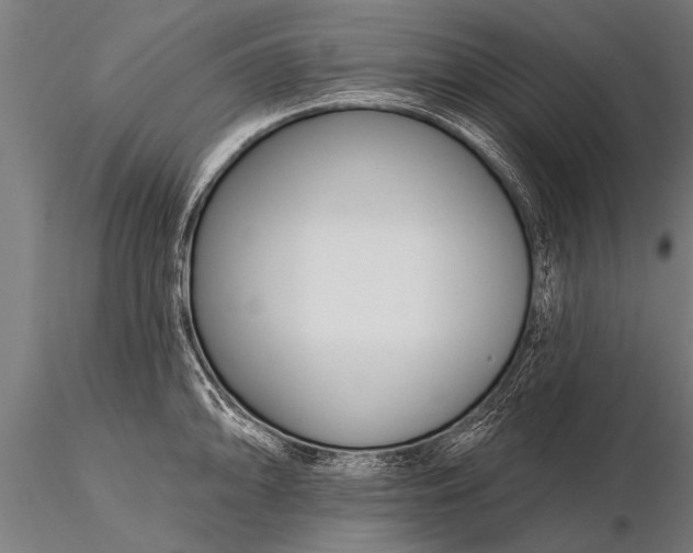 X0000116161094200912141215