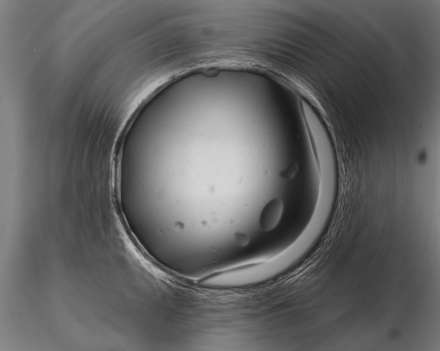 X0000116161095200912141215