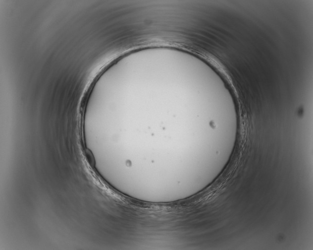 X0000116161096200912141215