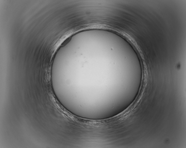 X0000116161097200912141215