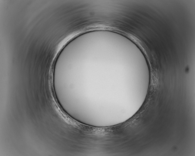 X0000116161098200912141215