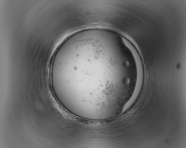 X0000116161099200912141215