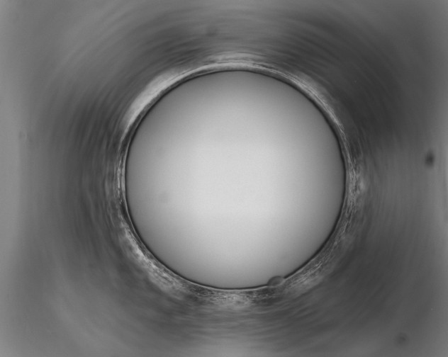 X0000116161101200912141215