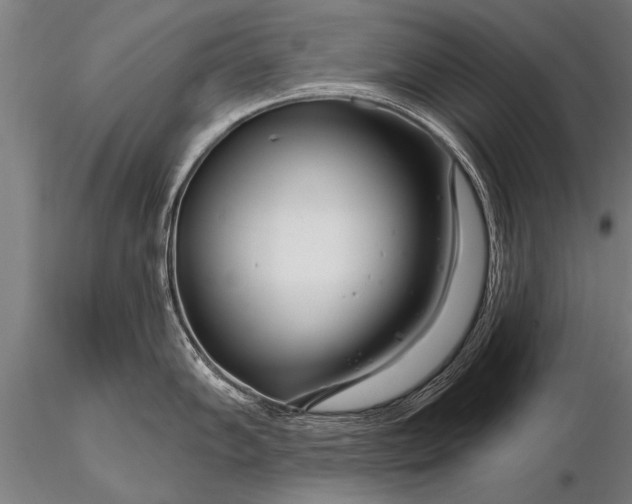 X0000116161102200912141215