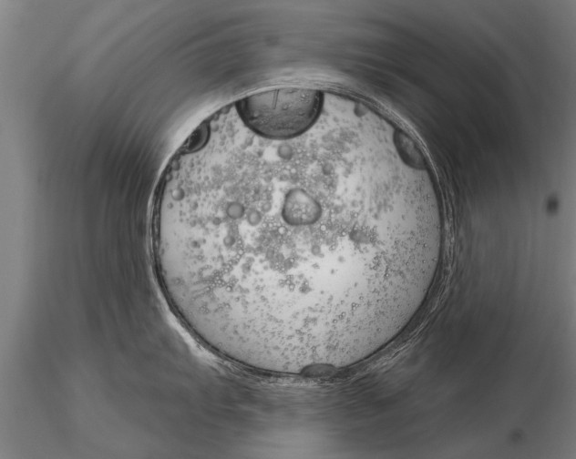 X0000116161103200912141215
