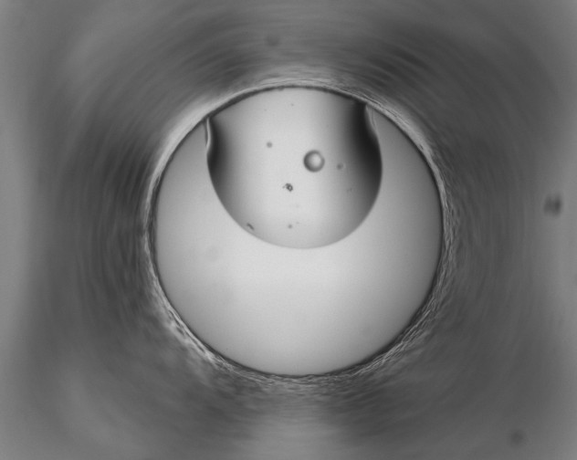 X0000116161104200912141215