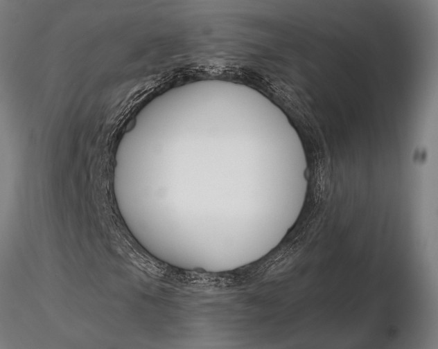 X0000116161105200912141214