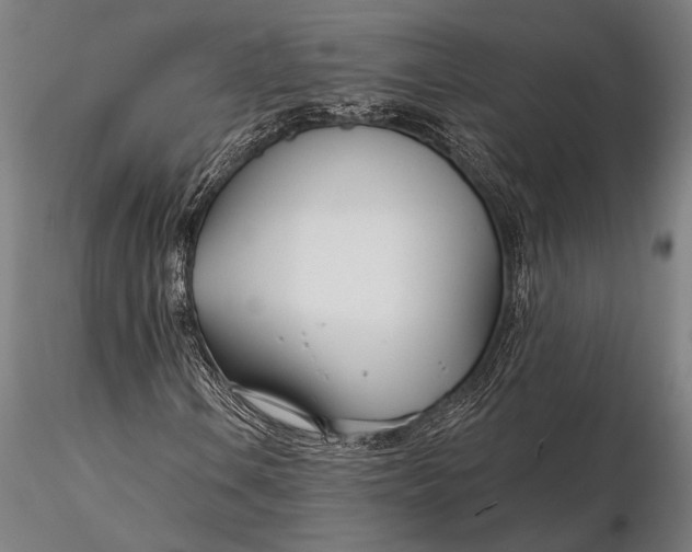 X0000116161106200912141214
