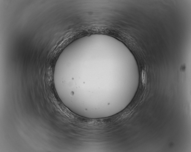X0000116161107200912141214