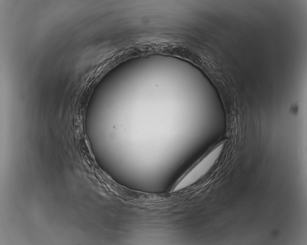 X0000116161109200912141214