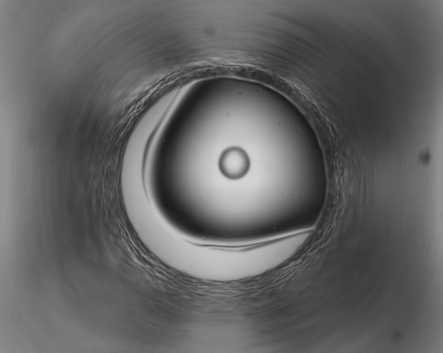 X0000116161110200912141214