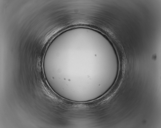 X0000116161113200912141214