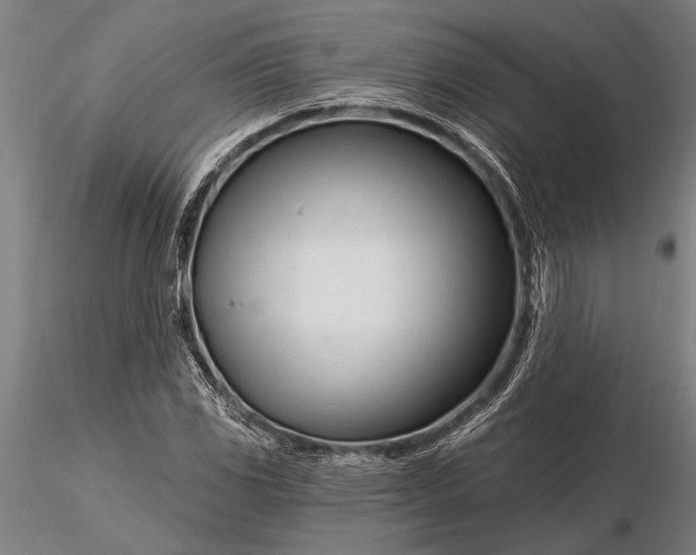 X0000116161117200912141214