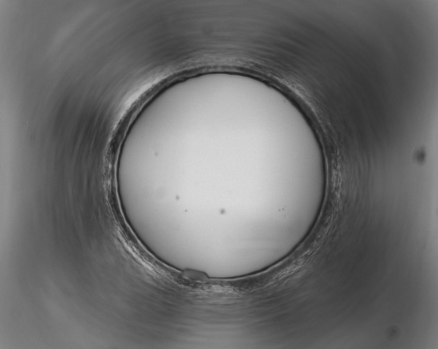 X0000116161119200912141214