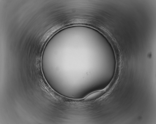 X0000116161121200912141214