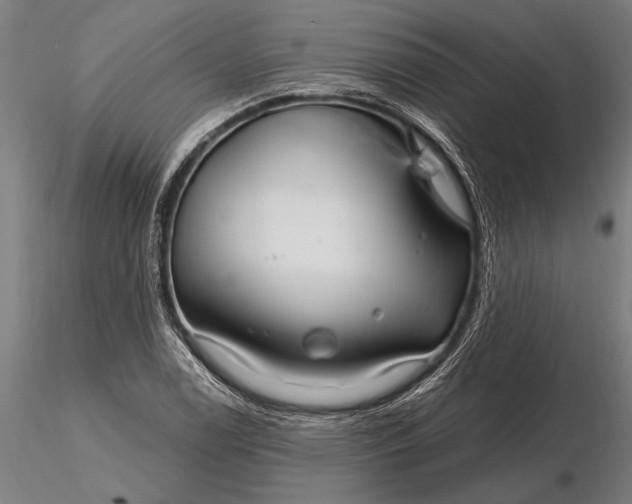X0000116161122200912141214
