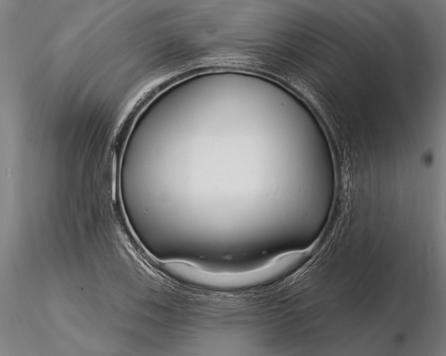 X0000116161123200912141214