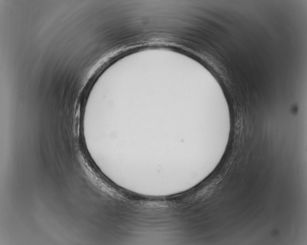 X0000116161126200912141214