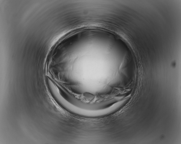 X0000116161127200912141214