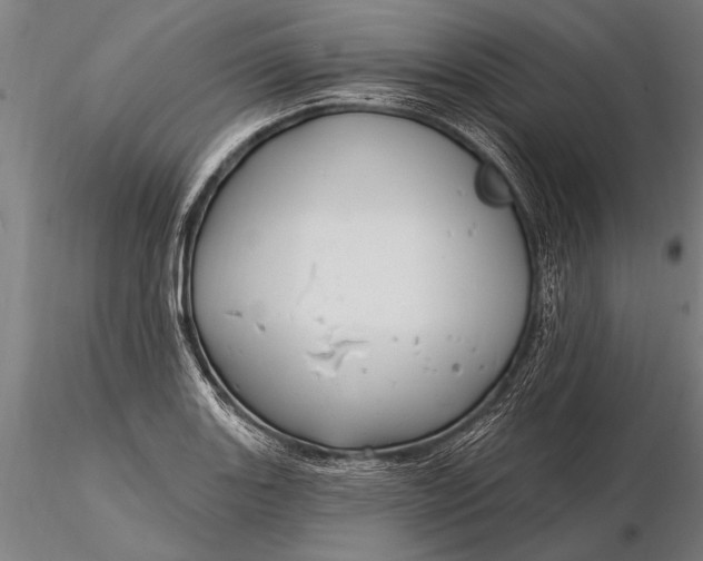 X0000116161131200912141215