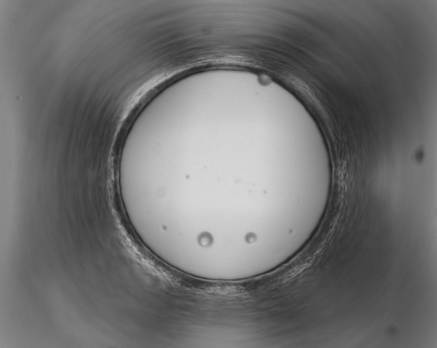 X0000116161133200912141215