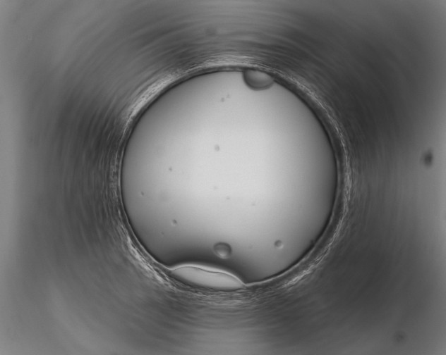 X0000116161137200912141215