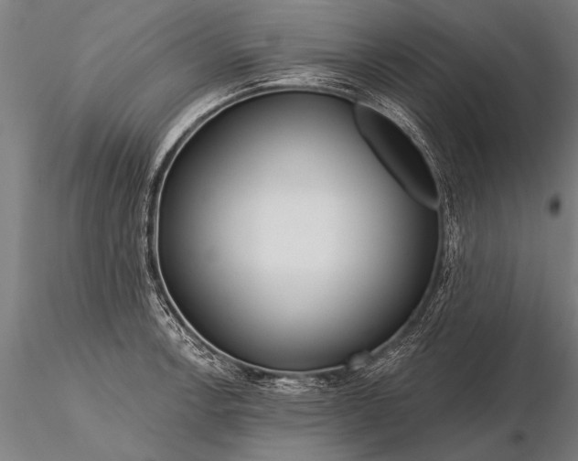 X0000116161138200912141215