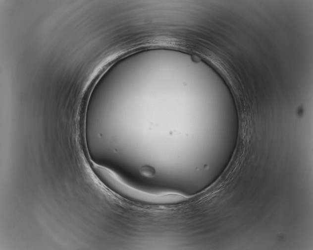 X0000116161139200912141215