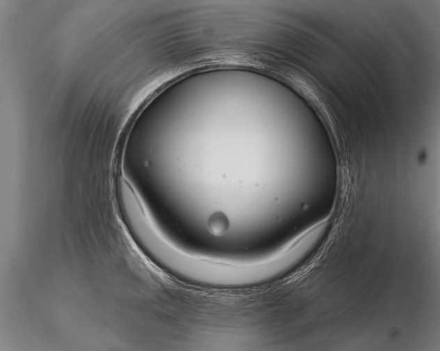 X0000116161141200912141215