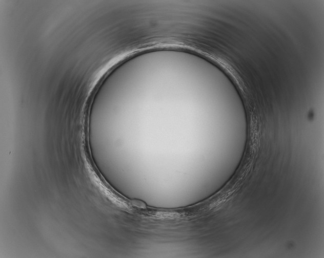 X0000116161142200912141215
