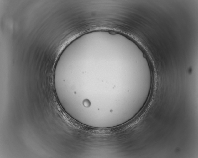 X0000116161145200912141215