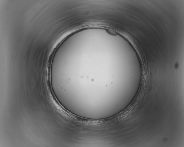 X0000116161147200912141215