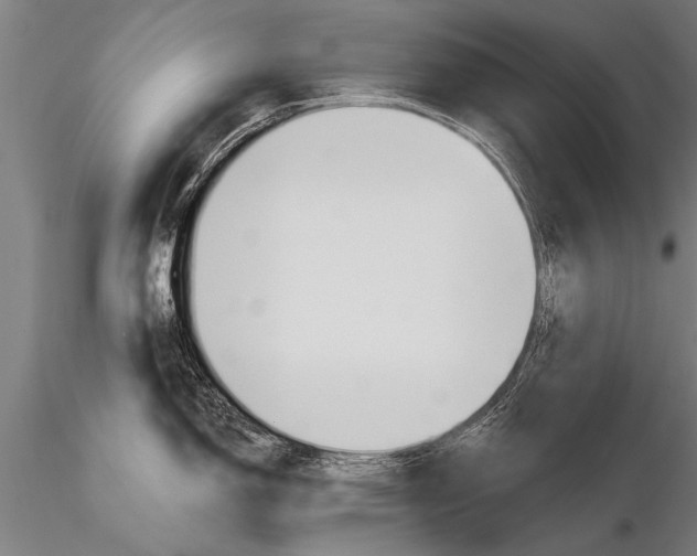 X0000116161150200912141215