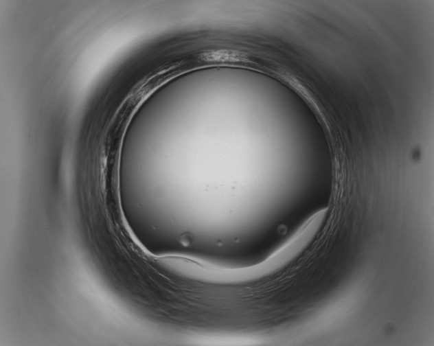 X0000116161151200912141215