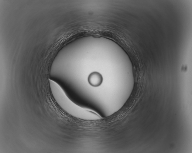 X0000116161153200912141214