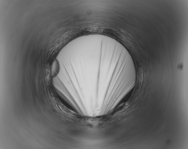 X0000116161154200912141214