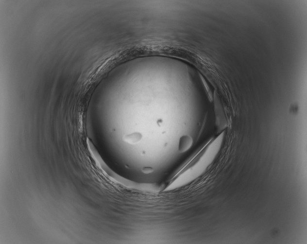 X0000116161155200912141214