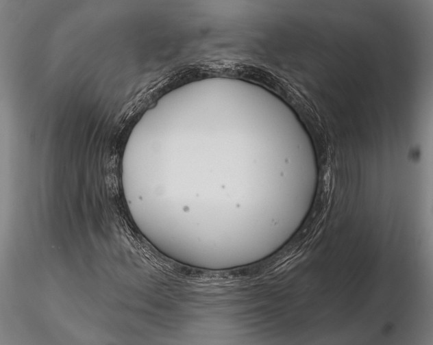 X0000116161156200912141214