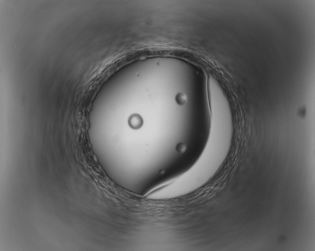 X0000116161157200912141214