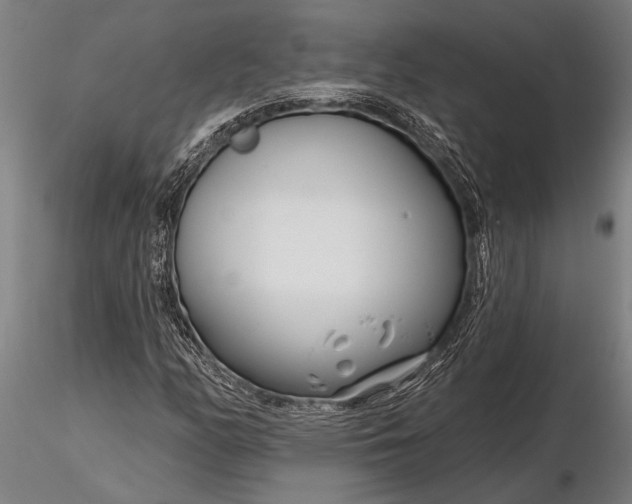 X0000116161158200912141214